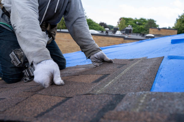 Best Emergency Roof Repair Services  in Wahpeton, ND